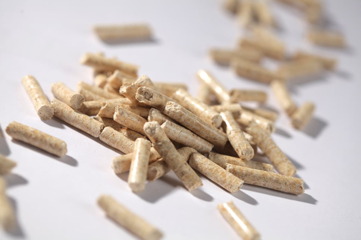 Pellet di legno chiaro in primo piano