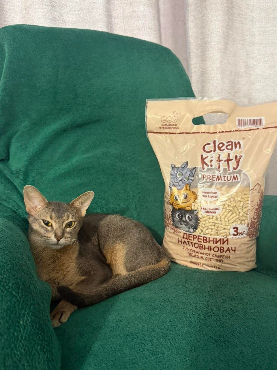 Un gatto su una poltrona verde accanto a un sacco da 3 kg di Clean Kitty PREMIUM