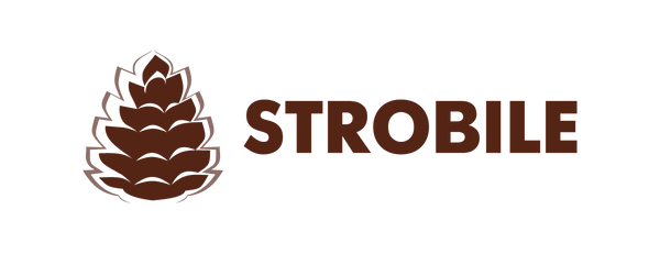 Strobile