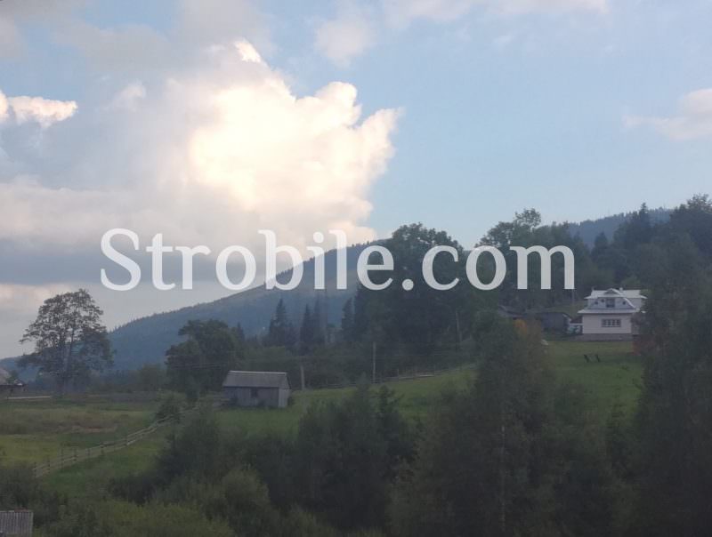 Raw materials arrive from the ecologically clean mountainous area of Bukovina